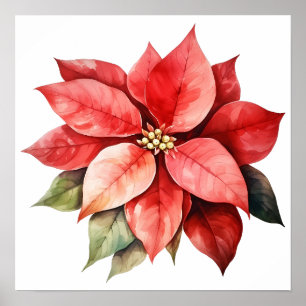 Big Beautiful Red Christmas Flower Poster