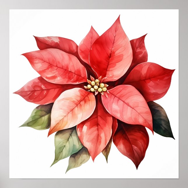 Big Beautiful Red Christmas Flower Poster (Front)