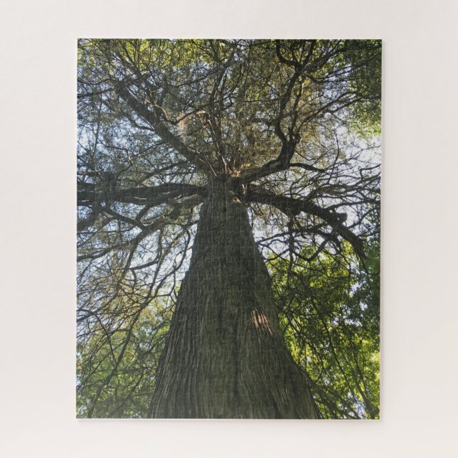 Big Beautiful Tree Jigsaw Puzzle (Vertical)
