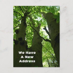 Big Beech Trees Summer Forest Moving Announcement Postcard