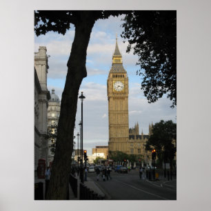 Big Ben Through a Tree Poster