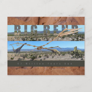 BIG BEND NAT’L PARK-Texas-Fossil Discovery Exhibit Postcard