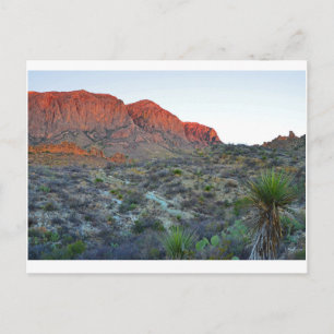 Big Bend National Park Postcard