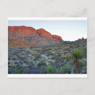 Big Bend National Park Postcard