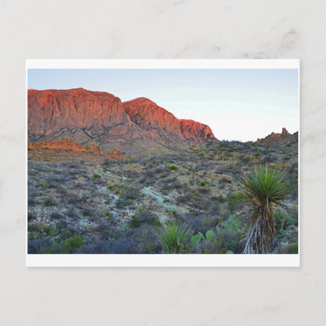 Big Bend National Park Postcard (Front)