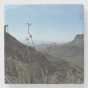 Big Bend Park-Ocotillo Mountain Landscape Stone Coaster