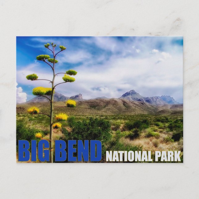 Big Bend Texas U.S. National Park Post Card (Front)