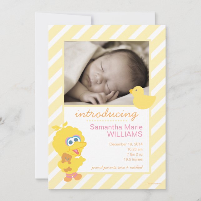 Big Bird Birth Announcement (Front)