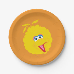 Big Bird Face Paper Plate