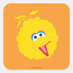 Big Bird Face Square Sticker