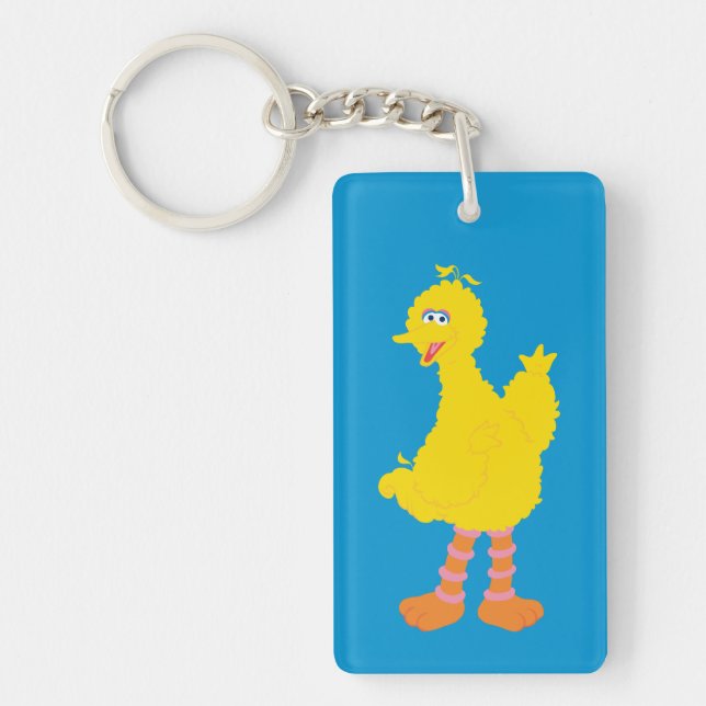 Big Bird Graphic Key Ring (Front)
