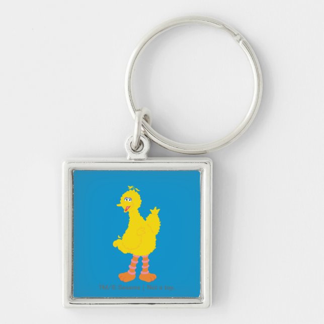Big Bird Graphic Key Ring (Front)