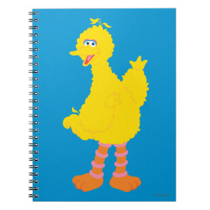 Big Bird Graphic Notebook
