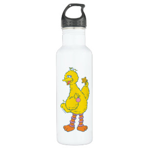 Big Bird Holding Christmas Ornaments 710 Ml Water Bottle
