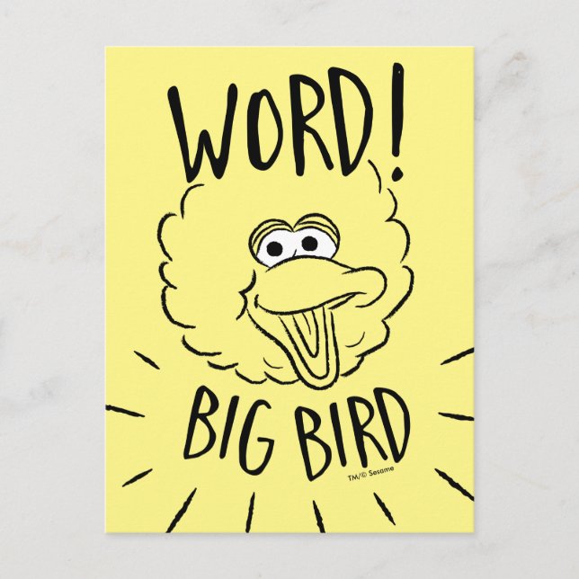 Big Bird Skate Logo - Word! Big Bird Postcard (Front)