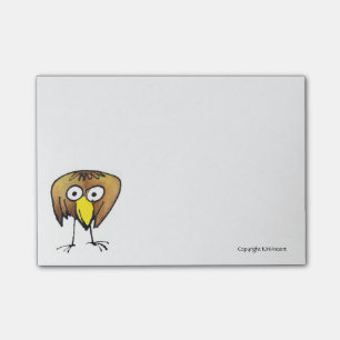 Big Birdie Notes