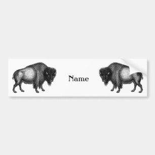 Big Bison Buffalo Thunder_Cove Bumper Sticker