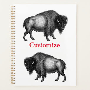 Big Bison Buffalo Thunder_Cove Planner
