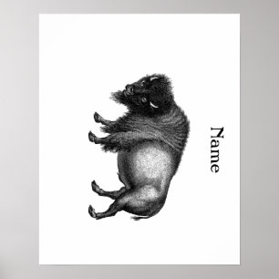 Big Bison Buffalo Thunder_Cove Poster