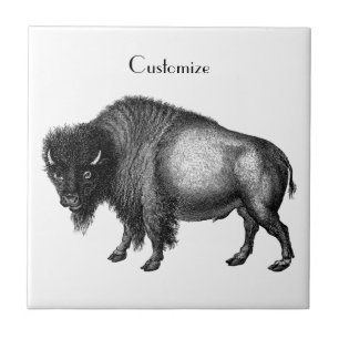 Big Bison Buffalo Thunder_Cove    Tile
