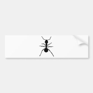 big black ant icon bumper sticker