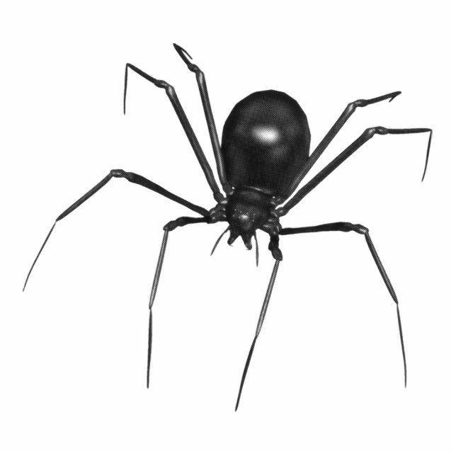 Big Black Creepy 3D Spider Photo Sculpture Decoration (Front)