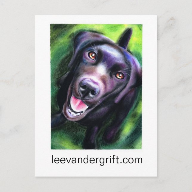 Big Black Dog smlr, leevandergrift.com Postcard (Front)