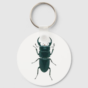 Big Black Dung Beetle Key Ring
