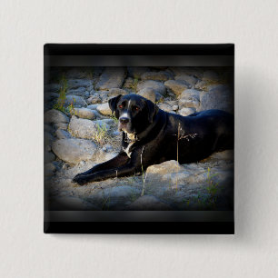 Big Black Pitbull Lab Cross 15 Cm Square Badge