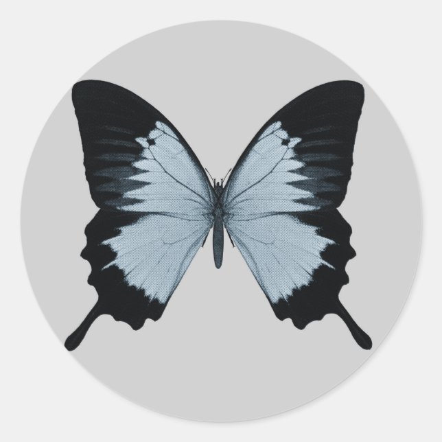 Big Blue & Black Butterfly Classic Round Sticker (Front)