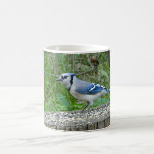 Big Blue Jay Mug