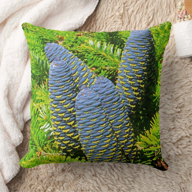 Big Blue Korean Fir Tree Cones Cushion (Blanket)