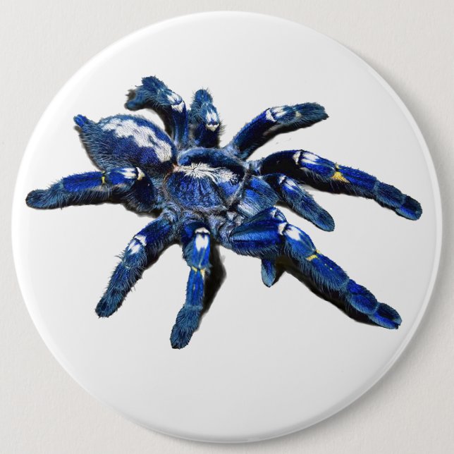 Big blue Tarantula spider, giant spider 6 Cm Round Badge (Front)