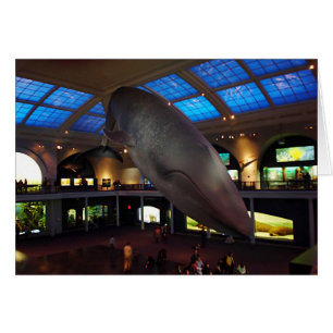 Big Blue Whale
