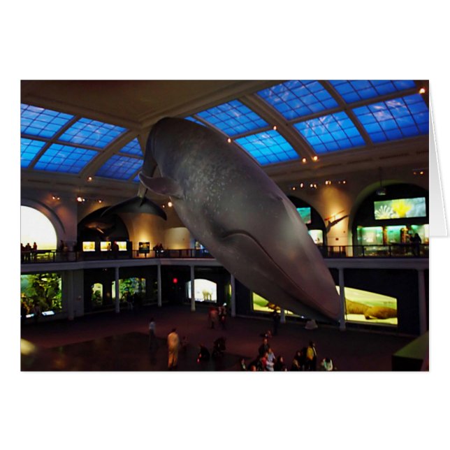 Big Blue Whale (Front Horizontal)