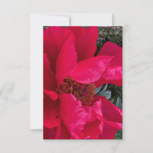 Big Bold Red Peony Card