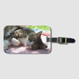Big Boy Cat on Table Luggage Tag
