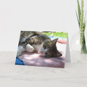 Big Boy Cat Relaxing Birthday Card