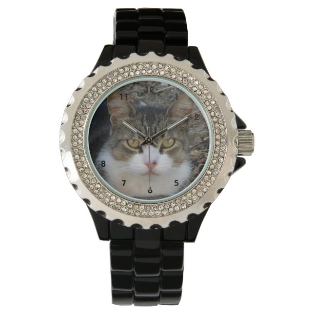 Big Boy's Green Eyes Watch (Front)