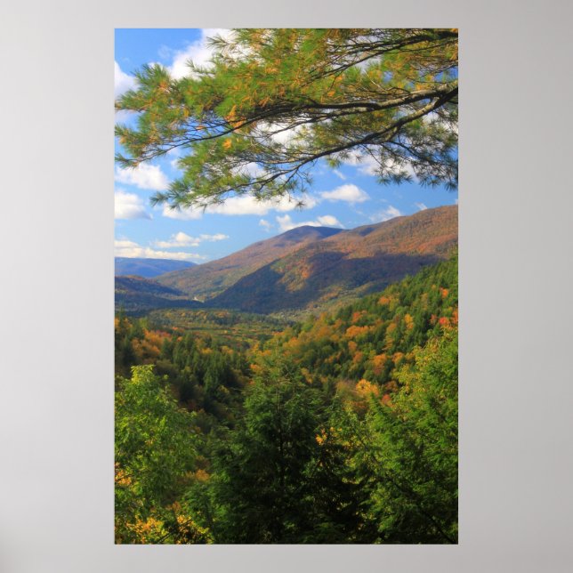 Big Branch Wilderness Vermont Poster (Front)