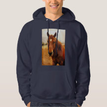 Big Braxton Hoodie Sweatshirt