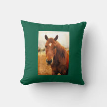 Big Braxton Throw Pillow