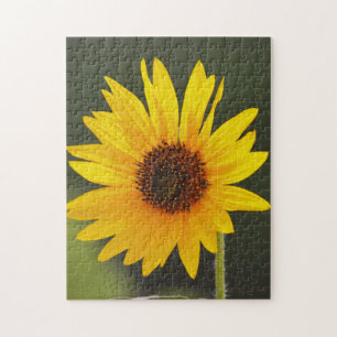 Big Bright Sunflower Nature Puzzle