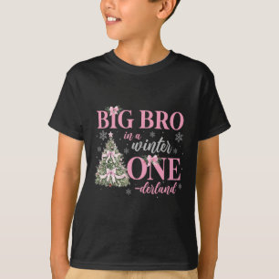 Big Bro In A Winter Onederland Birthday Girl Chris T-Shirt