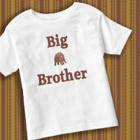 Big Brother Dinosaur