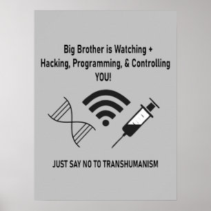 Big Brother is watching  Poster