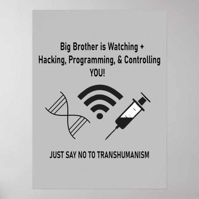 Big Brother is watching  Poster (Front)