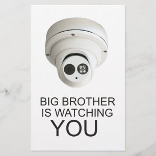 Big brother is watching you flyer
