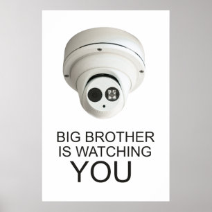 Big brother is watching you poster