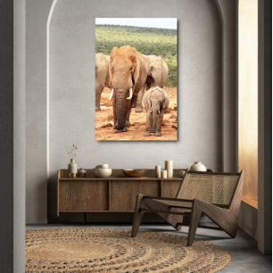 Big brother little brother elephant Canvas Framed Print